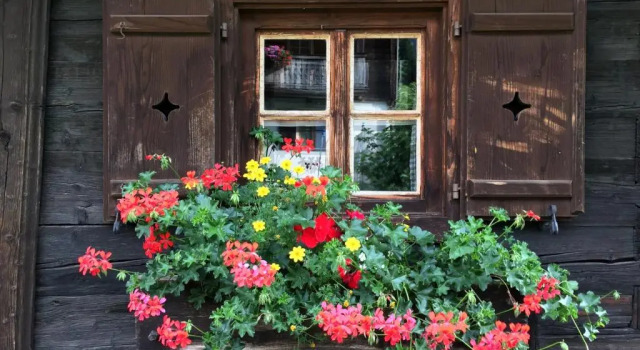 Шале Bad Kleinkirchheim Bio Naturhof Ottingerhof