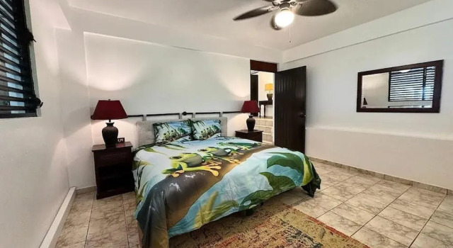 Номер Deluxe Vieques BioBay Bed and Breakfast
