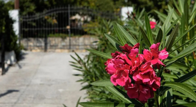 Коттедж Miliα Country House