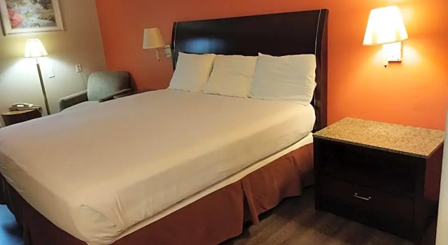 Одноместный номер Standard Fairway Inn, La Porte TX - Bay Area