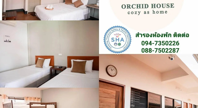 Номер Standard Orchid house
