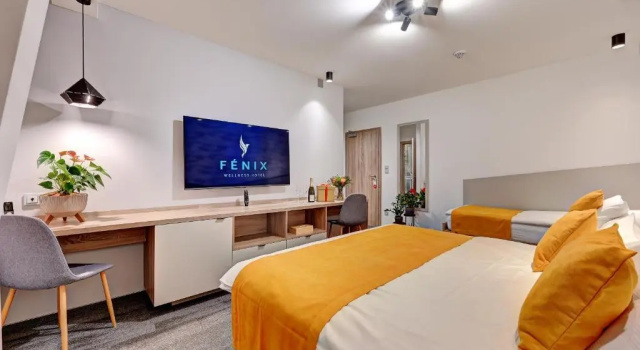 Трёхместный номер Standard с видом на горы Fénix Inspiration Design Hotel