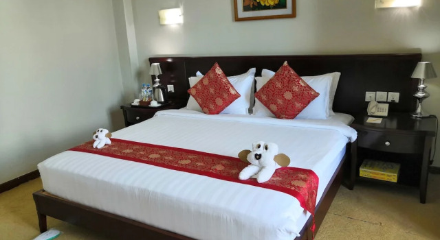 Двухместный номер Superior Green Leaf Hotel
