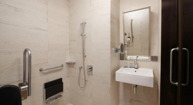 Двухместный номер Standard с видом на город Four Points by Sheraton Seoul Gangnam