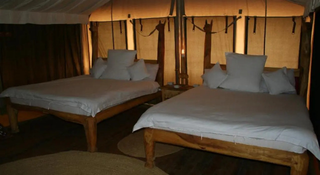 Двухместный номер Standard Roika Tarangire Tented Lodge