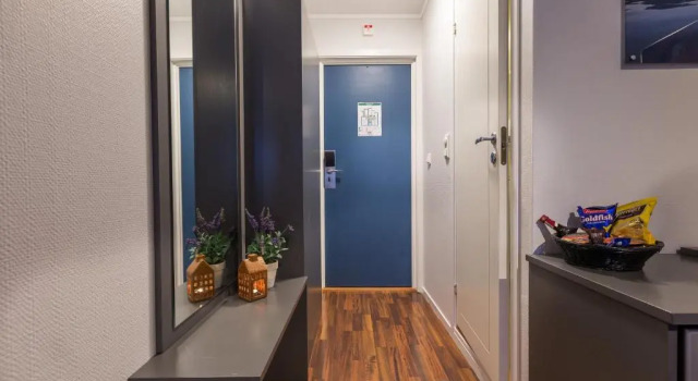 Двухместный номер Standard Enter Viking Apartment Hotel