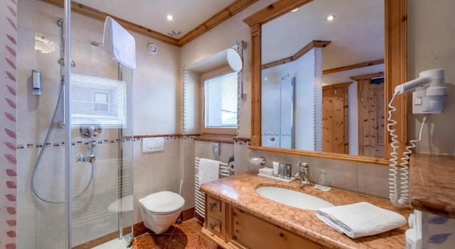 Одноместный номер Standard Sport- und Genusshotel Silvretta