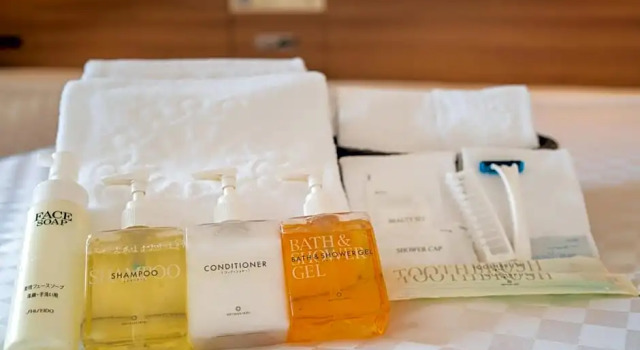 Номер Comfort Keio Plaza Hotel Tama