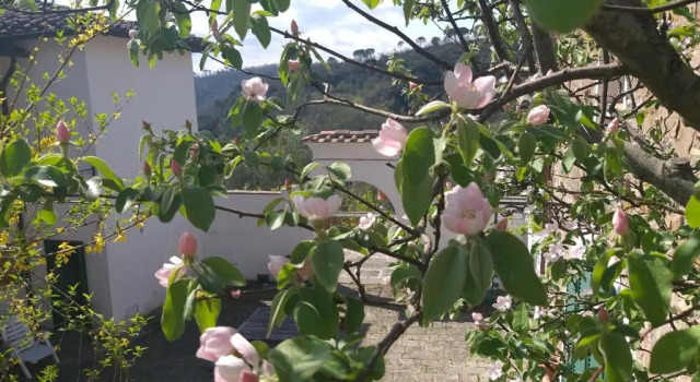 Вилла Chiantivillas Villa Torricella, 27