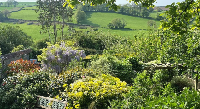 Hütte Magnolia View