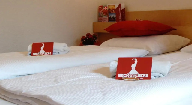 Номер Standard first mountain Hotel Zillertal