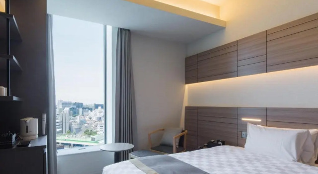 Двухместный номер Superior Nihon Seinenkan Hotel