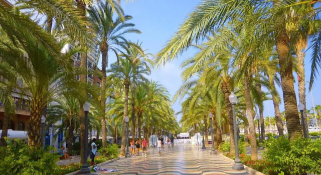 Апартаменты Bonito apartamento con terraza junto al centro de Alicante