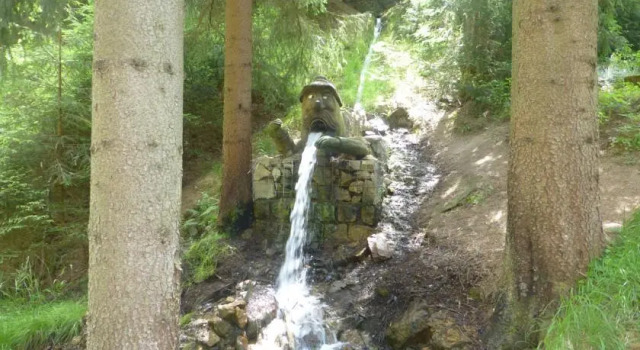 Pension & Landgasthof Zur Försterei, Prenota Hotel Muldenhammer Sassonia