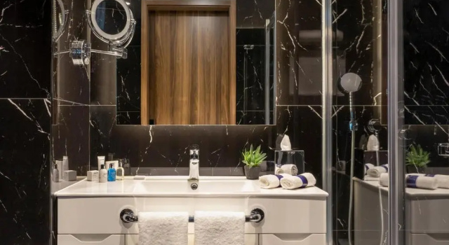 Двухместный номер Standard Radisson Blu Hotel, Sakarya