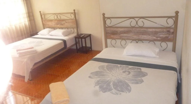 Diamond Monkey Lodge