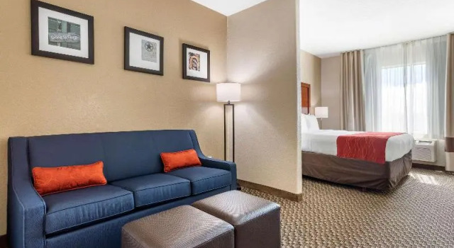 Номер Standard Comfort Inn & Suites Navasota