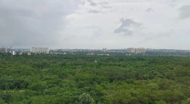 Двухместный номер Superior Vivanta Bhubaneswar DN Square
