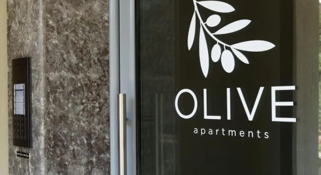Olive 103