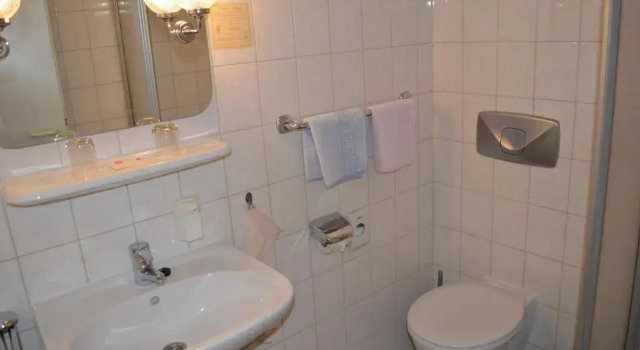 Одноместный номер Standard Hotel Zur Eiche