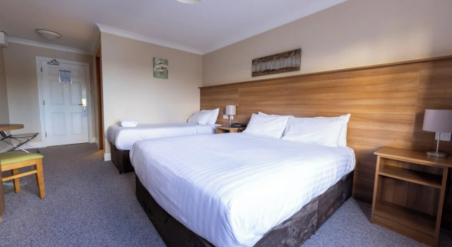 Трёхместный номер Standard с видом на реку Riverside Hotel