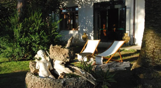 Calypso Art Hotel