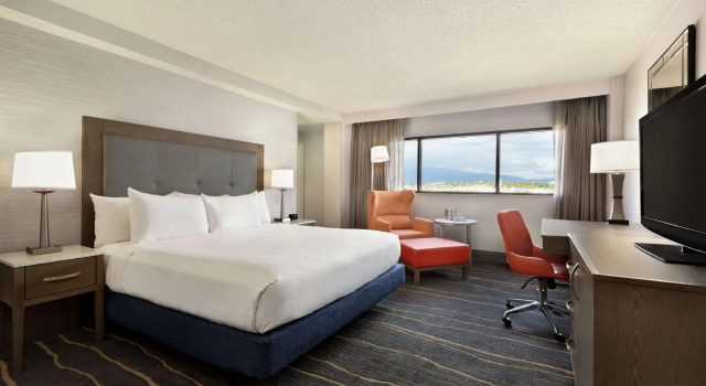 Двухместный номер Standard с видом на горы DoubleTree by Hilton Hotel Albuquerque