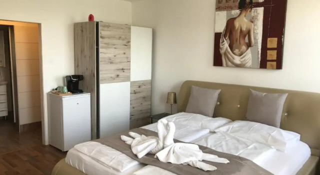 Двухместный номер Standard Hotel-Restaurant zum Donaueck Mauthausen