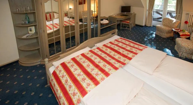 Одноместный номер Standard Hotel Aselager Mühle