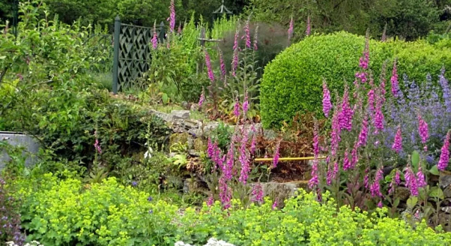 Ballydugan Country House, Book Hotel Downpatrick Down County