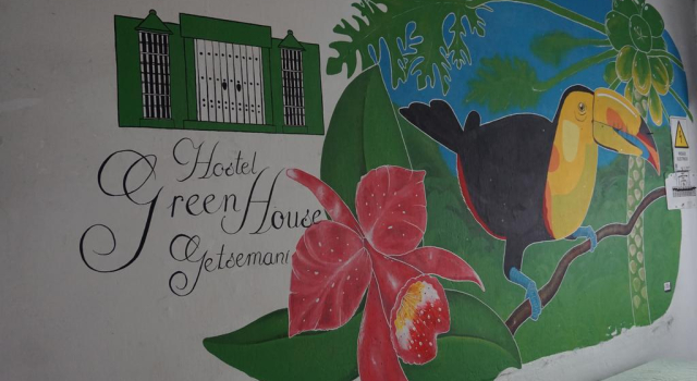 Hostel Green House Getsemani
