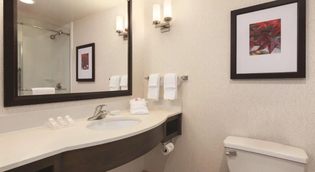 Четырёхместный номер Standard Hilton Garden Inn Wallingford/Meriden