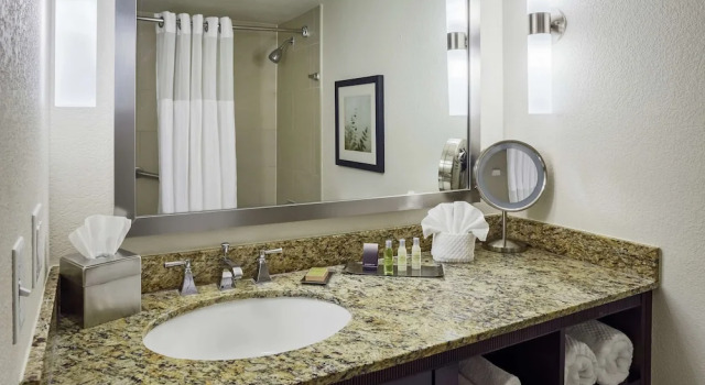 Номер Mobility Accessible with Bathtub DoubleTree by Hilton San Antonio Downtown