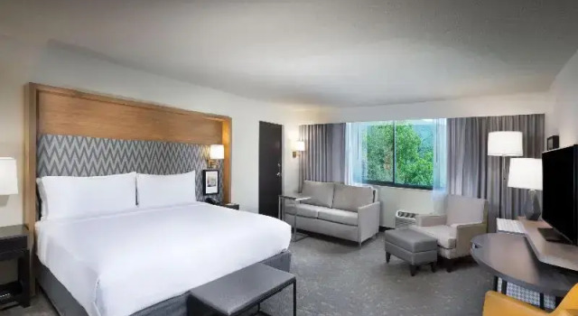 Люкс Holiday Inn Asheville East-Blue Ridge Pkwy by IHG