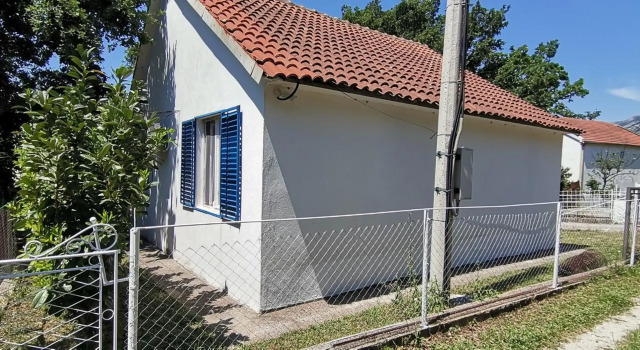 Forest house
