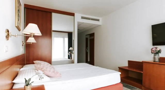 Номер Standard Hotel Toplice