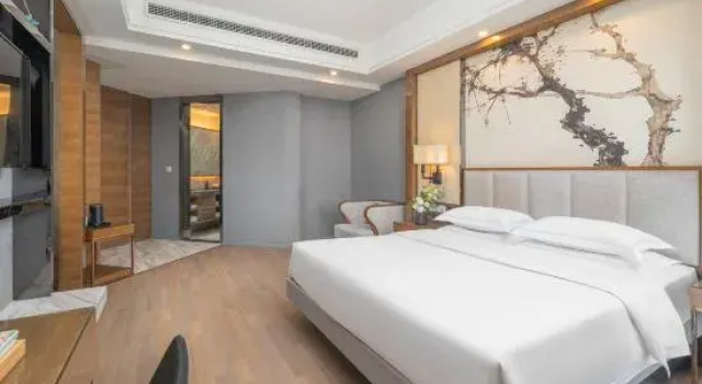Люкс Premier Yuesun Finia Hotel (Dazhou Luofu Plaza Railway Station)
