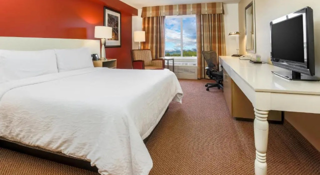 Номер Standard с видом на горы Hilton Garden Inn Anchorage