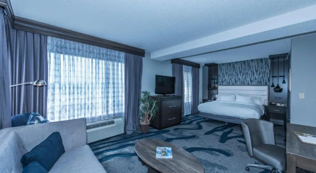 Полулюкс DoubleTree by Hilton North Charleston - Convention Center