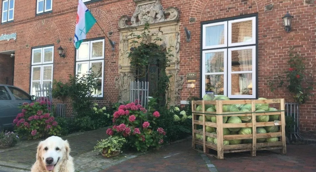 Gasthof Oldenwöhrden, Rezervasyon Otel Dithmarschen havuzlu oteller, Yüzme Havuzu