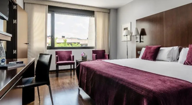 Номер Standard Eurostars Reina Felicia
