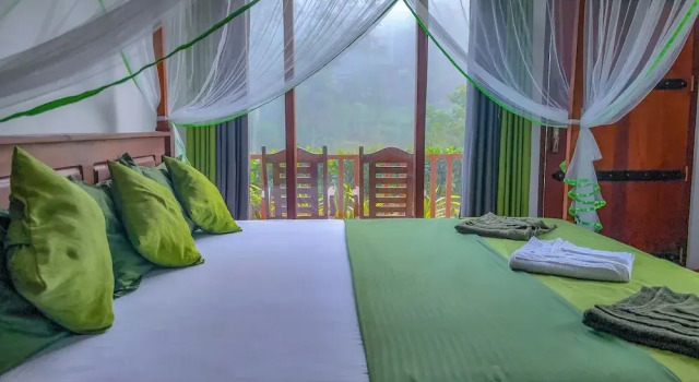 Rain Forest Vibe Sinharaja