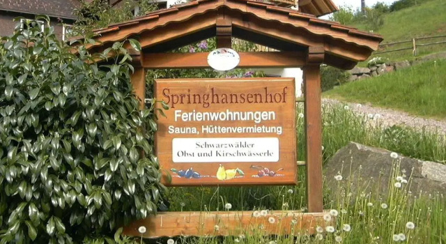 Апартаменты Springhansenhof