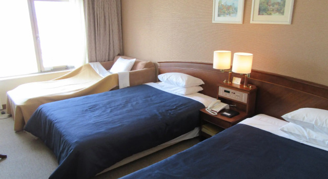 Двухместный номер Standard Bellevue Garden Hotel Kansai International Airport
