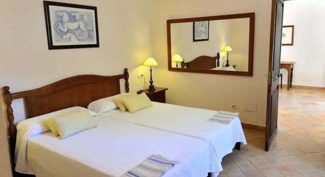 Полулюкс с видом на сад Petit Hotel Es Figueral