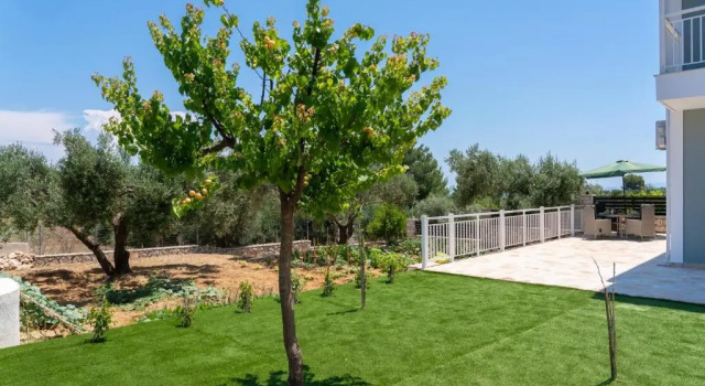Апартаменты c 1 комнатой Dendra Apartments at Skala