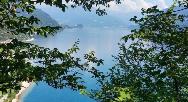 Narciso B&B Valbrona, Book Bed and Breakfast Valbrona Como
