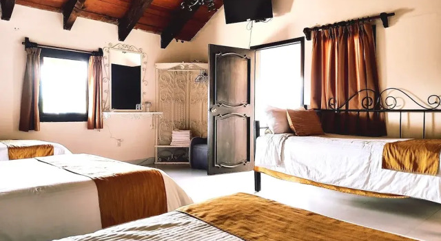 Четырёхместный номер Standard Hotel Jardines del Centro