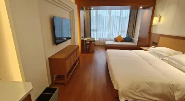 Deluxe Suite Time Platinum