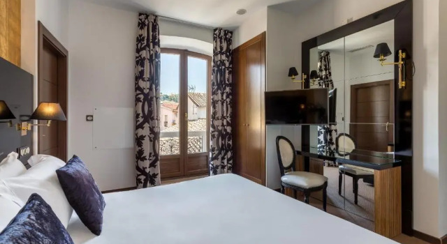 Двухместный номер Executive Room Mate Leo, Granada